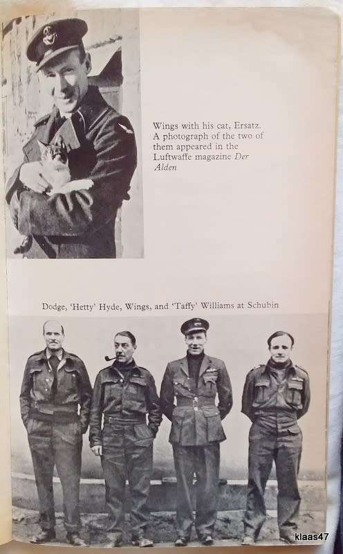 `Wings` Day - Sydney Smith - Paperback