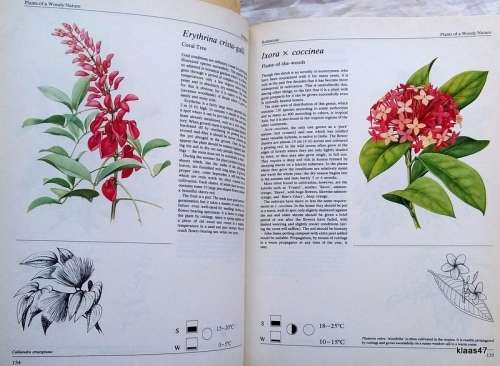 House Plants - Jiri Haager (Over 250 Plants for Indoors,Balconies etc) Hardcover (Damaged dust cover