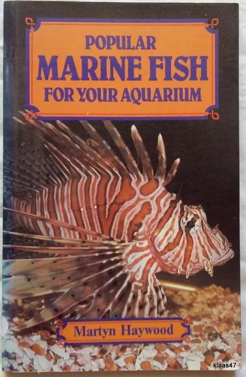 Popular Marine Fish for your Aquarium - Martyn Haywood - Paperback