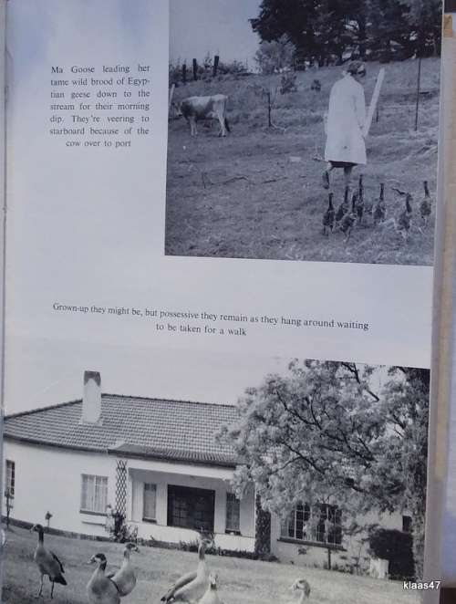 We Merry Peasants - Muriel Kavanagh - Hardcover 1963