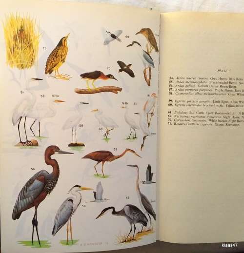 Roberts Birds of South Africa - Revised by McLachlan and Liversidge - Hardcover Fourth Edition