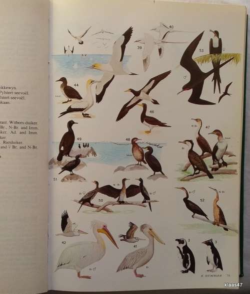 Roberts Birds of South Africa - Revised by McLachlan and Liversidge - Hardcover Fourth Edition