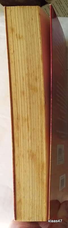 Father Michael`s Lottery - Johan Steyn - Paperback