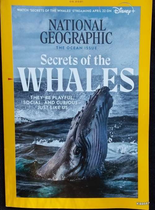 National Geographic Magazine - Secrets of the Whales - 05-2021