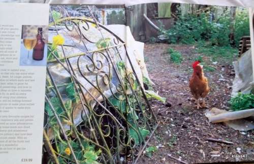 Grow Your Own - Eat Your Own - Bob Flowerdew - Hardcover