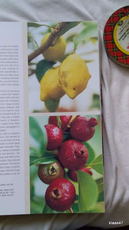 Grow Your Own - Eat Your Own - Bob Flowerdew - Hardcover