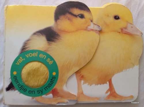Eendjie en sy Maats - Vat, Voel en Se - Cardboard page Baby Book