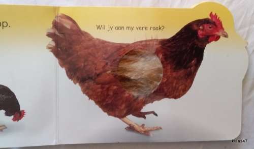 Eendjie en sy Maats - Vat, Voel en Se - Cardboard page Baby Book
