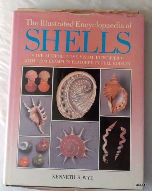 Illustrated Encyclopaedia of Shells - Kenneth R Wye - Hardcover