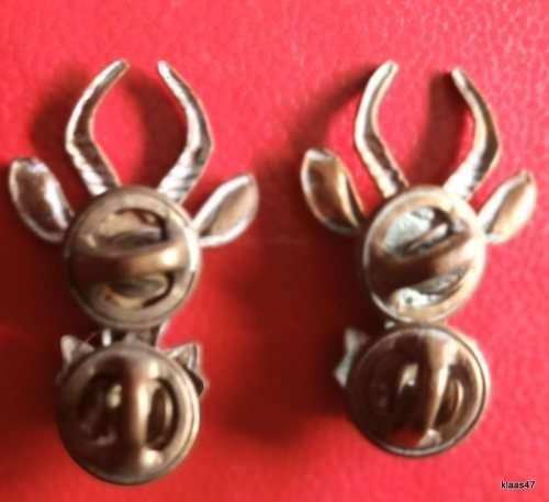 South African Infantry - Pair of Brass Collar badges