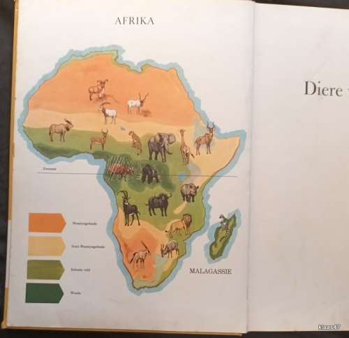 Diere van Afrika - Robert Wolff - Systems for Education - Large Hardcover