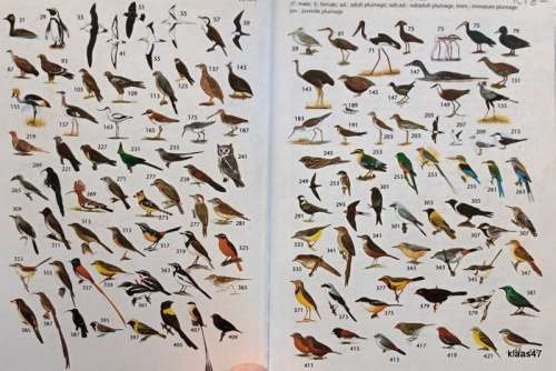 Sasol Birds of Southern Africa - Ian Sinclair, Philip Hockey: Warwich Tarboton - Paperback - 2nd Ed