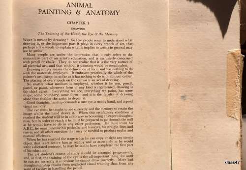 Animal Painting and Anatomy - W Frank Calderon - Hardcover 1936