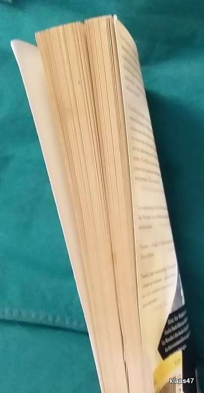 The Assassin - Henk Van Woerden - Paperback