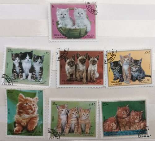 Sharjah - 1972 - Kittens - Set of 6 Cancelled Hinged Stamps, Plus 1 Pedigree Cat stamp