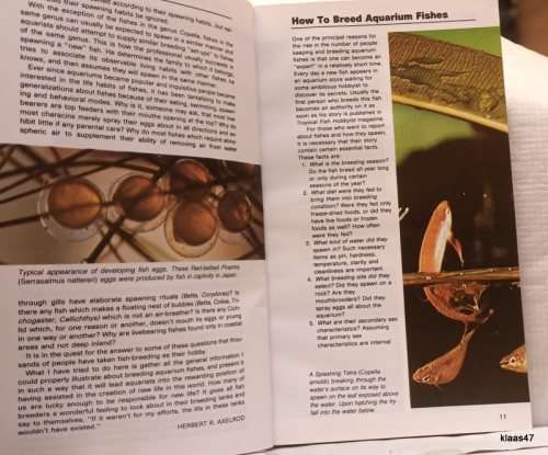 Breeding Aquarium Fish - Dr Herbert R Axelrod - Paperback