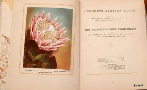 Our South African Flora: Cigarette Card Album - Complete with all cards.