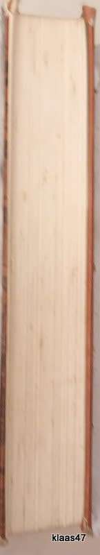 Perfect Order - Kate Coscarelli - Hardcover