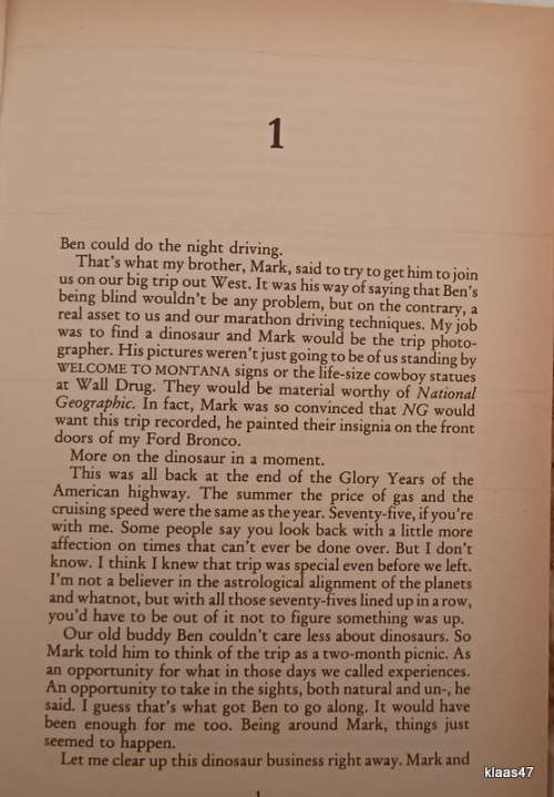 Pictures from a Trip - Tim Rumsey - Hardcover