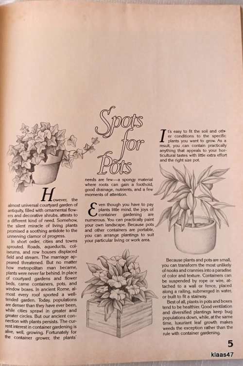 Better Homes and Gardens: Container Plants - Hardcover