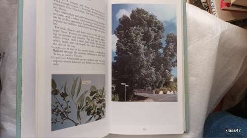 A Gardener`s Guide to Eucalypts - Ivan Holliday & Geoffrey Watton - Hardcover