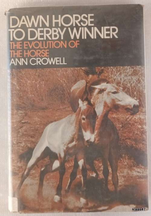 Dawn Horse To Derby Winner (The Evolution of The Horse) - Ann Crowell - Hardcover (ex Ref Lib)