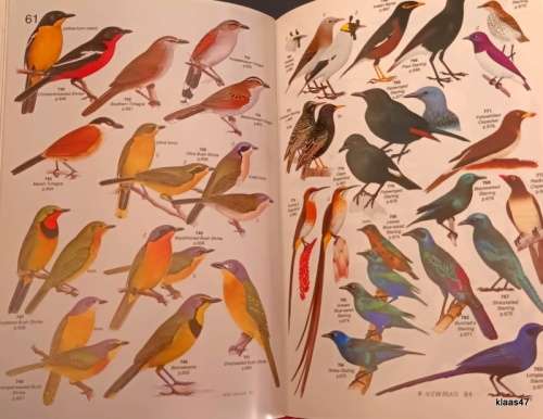 Roberts` Birds of Southern Africa - Gordon Lindsay Maclean - Hardcover 1985
