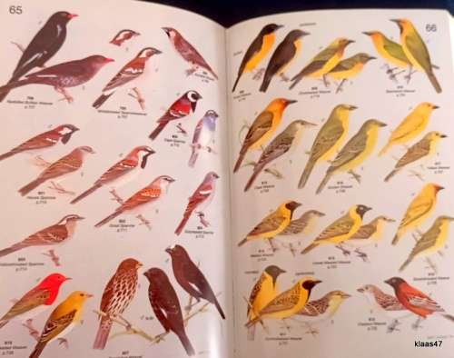 Roberts` Birds of Southern Africa - Gordon Lindsay Maclean - Hardcover 1985