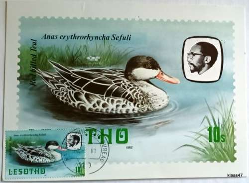 Lesotho - Birds - Postcard (Lesotho Philatelic Bureau Christmas Greetings)