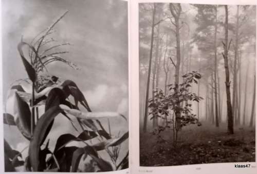 Nederlandsch Jaarboek voor Fotokunst 1944-46 - Red: GJ Speekhout - Hardcover