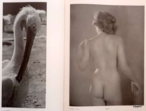 Nederlandsch Jaarboek voor Fotokunst 1944-46 - Red: GJ Speekhout - Hardcover