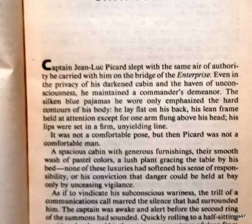 Star Trek: The Next Generation - The Devil`s Heart - Carmen Carter - Paperback