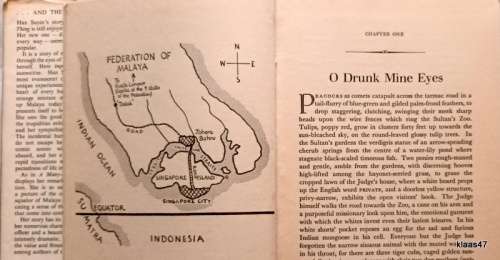...and the Rain my Drink - Han Suyin - Hardcover