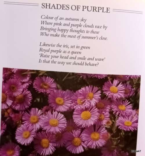 Kathleen Partridge`s Book of Friendship and Flowers - Hardcover