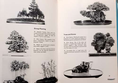 Bonsai for Pleasure - Keiji Murata and Takema Takeuchi - Hardcover