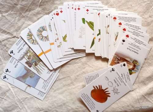 Pack of Playing Cards - Cape Town Third GEF Assembly 2006