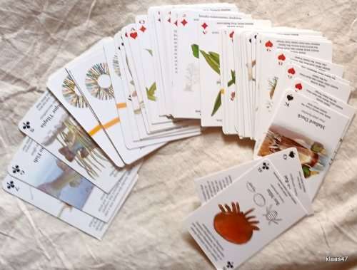 Pack of Playing Cards - Cape Town Third GEF Assembly 2006
