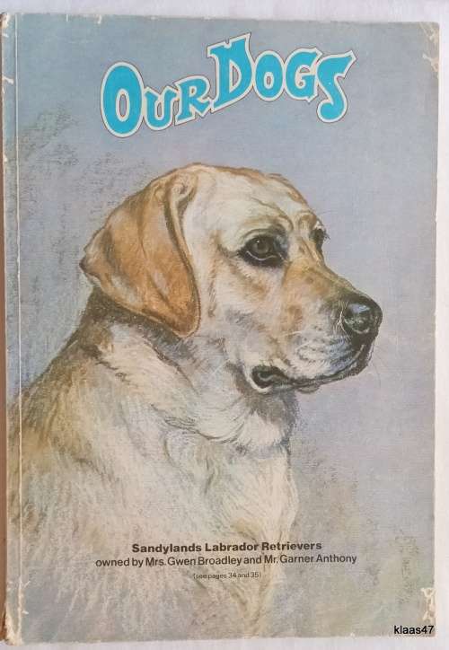 Our Dogs - W J Rasbridge - Paperback