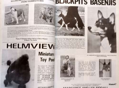 Our Dogs - W J Rasbridge - Paperback