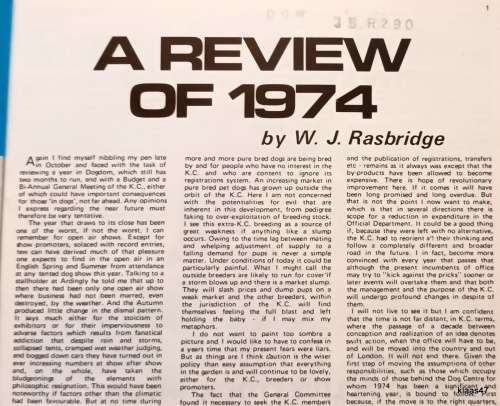 Our Dogs - W J Rasbridge - Paperback