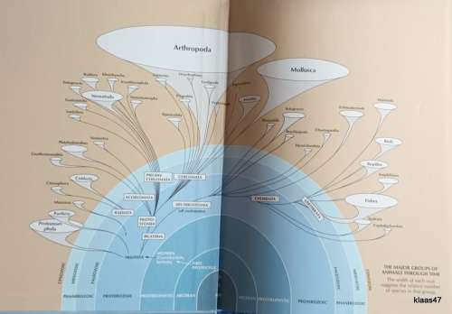 Biology of Animals - Cleveland P Hickman Jr and Larry S Roberts - Hardcover Sixth Edition