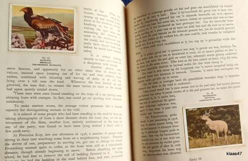 Our South African National Parks: United Tobacco Co - 11 cards  Missing