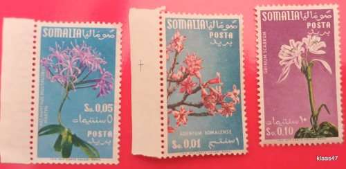 Italian Somalia - 1955 - Flowers - 3 Mint stamps