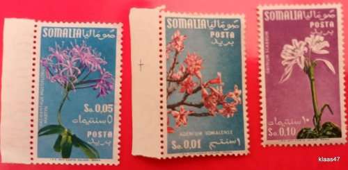 Italian Somalia - 1955 - Flowers - 3 Mint stamps