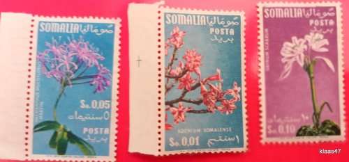 Italian Somalia - 1955 - Flowers - 3 Mint stamps