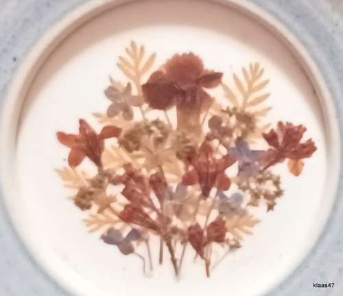 Wall Plate with Wild flowers in hand-thrown plate rim by Valerie & Lewis Pitman