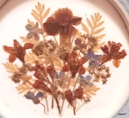 Wall Plate with Wild flowers in hand-thrown plate rim by Valerie & Lewis Pitman