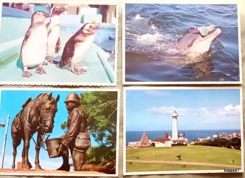 1970`s Post Cards - Port Elizabeth (Arthur English Prints) 4 Unused