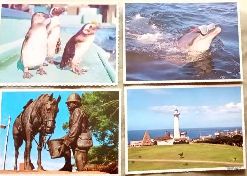 1970`s Post Cards - Port Elizabeth (Arthur English Prints) 4 Unused