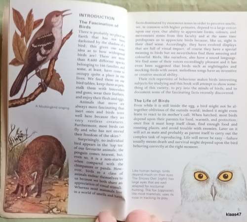 Bird Behaviour - John Sparks - Paperback